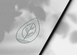 A logo with a leaf on it for Seedling Digital's WordPress Website Design and Brand Design services.