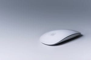 Apple mouse on white background